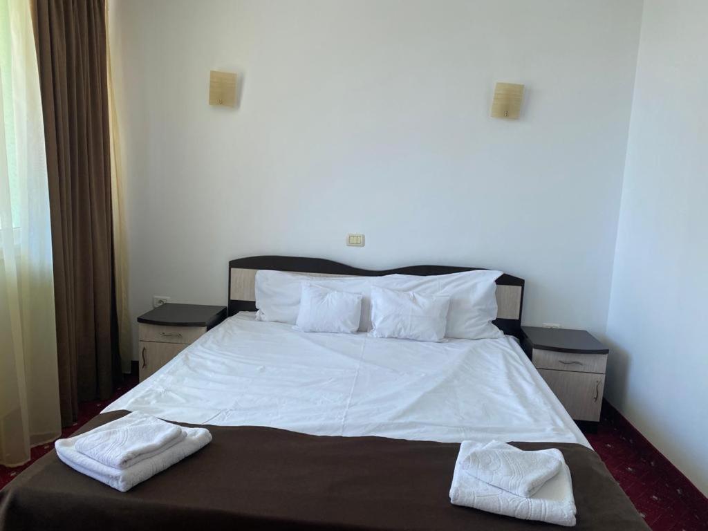Cameră dublă cu pat matrimonial la Hotel Felix