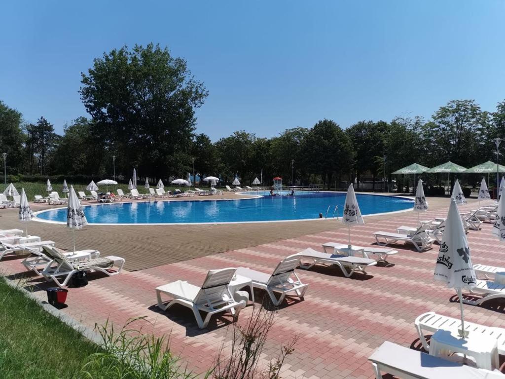 Șezlonguri pe marginea piscinei